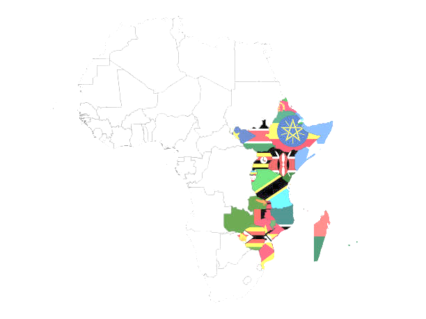 Map of Africa highlighting regional markets